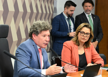 Leila diz que apresenta relatório da MP da ‘taxa das blusinhas’ na segunda — Senado Notícias