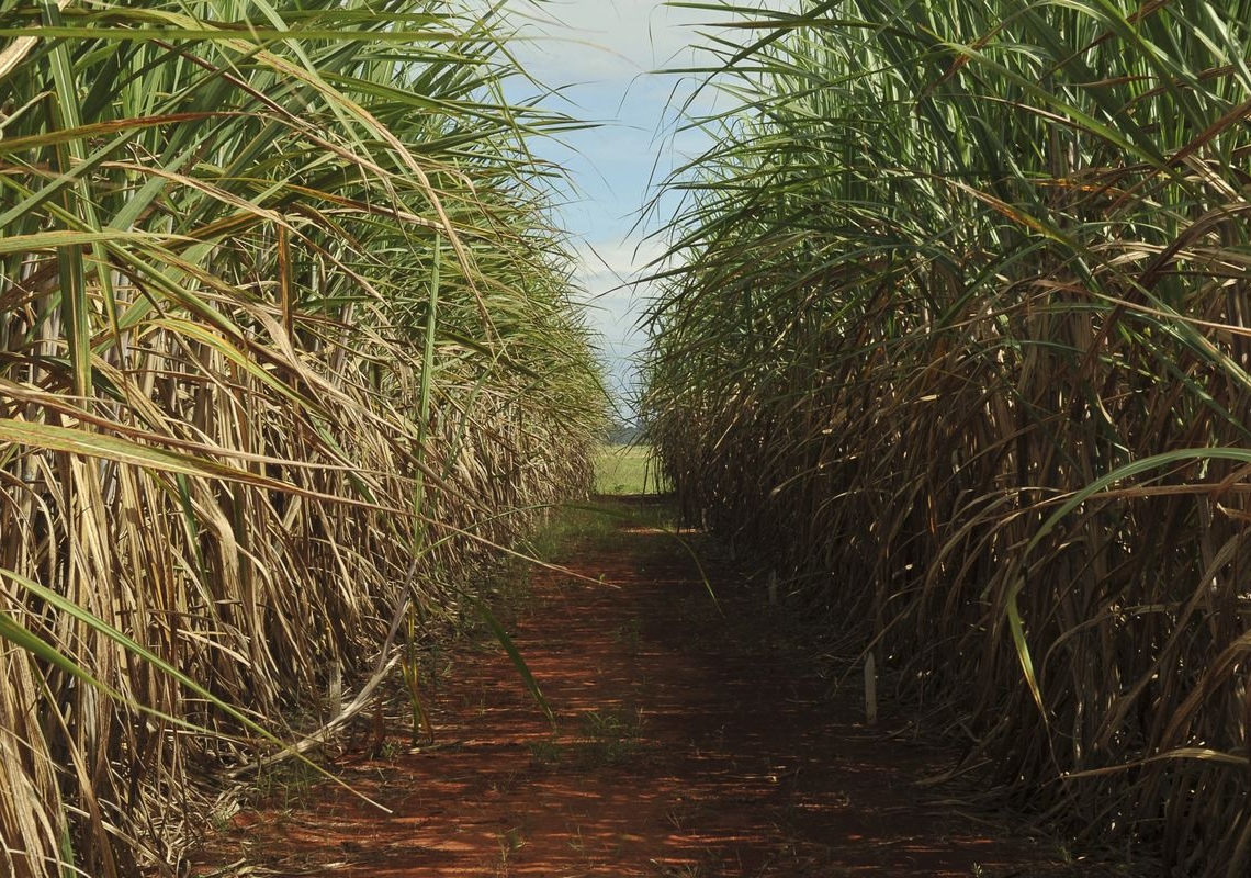 Conselho eleva limite de remuneração do Eco Invest Brasil