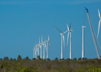 Projeto mapeia caminhos para economia verde no Nordeste