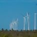 Projeto mapeia caminhos para economia verde no Nordeste