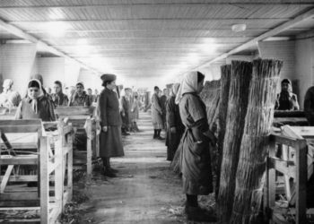 Holocausto cigano será tema de debate na CDH na terça — Senado Notícias