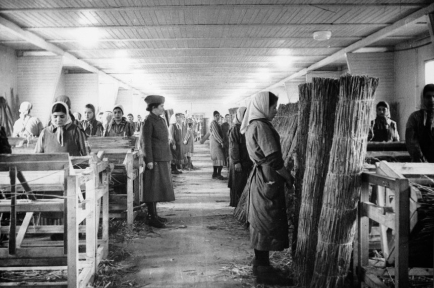 Holocausto cigano será tema de debate na CDH na terça — Senado Notícias