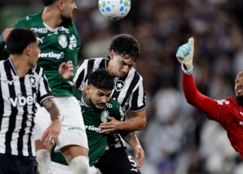 Botafogo segura Palmeiras e ajuda Flamengo, novo líder do Brasileirão