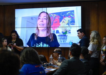 Exercício da psicoterapia requer qualificação, aprova CDH — Senado Notícias