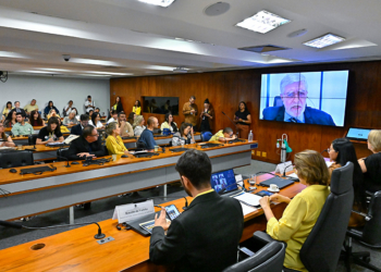 Na CDH, especialistas propõem medidas para prevenir automutilação e suicídio — Senado Notícias
