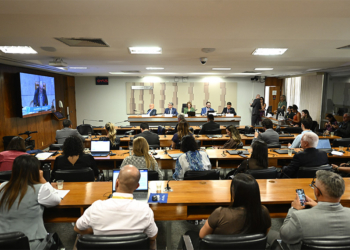 CDH acompanha julgamento no STF — Senado Notícias