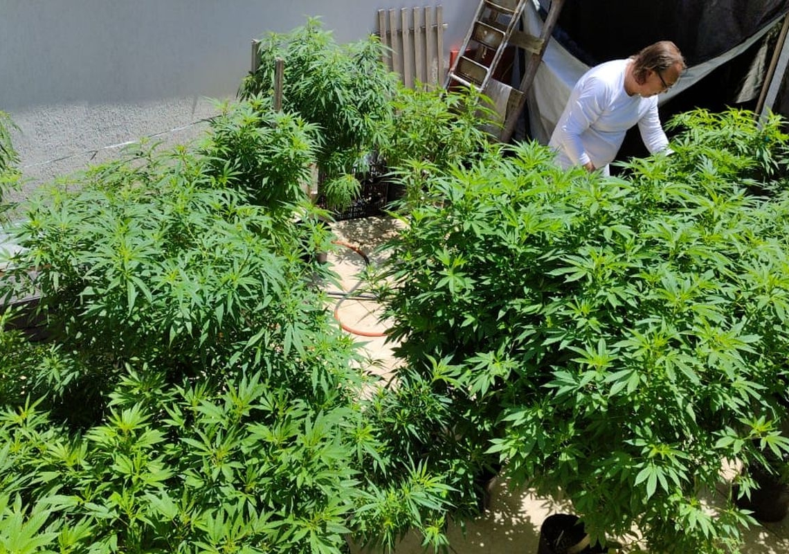 Feira em Fortaleza defende políticas sobre drogas com justiça social