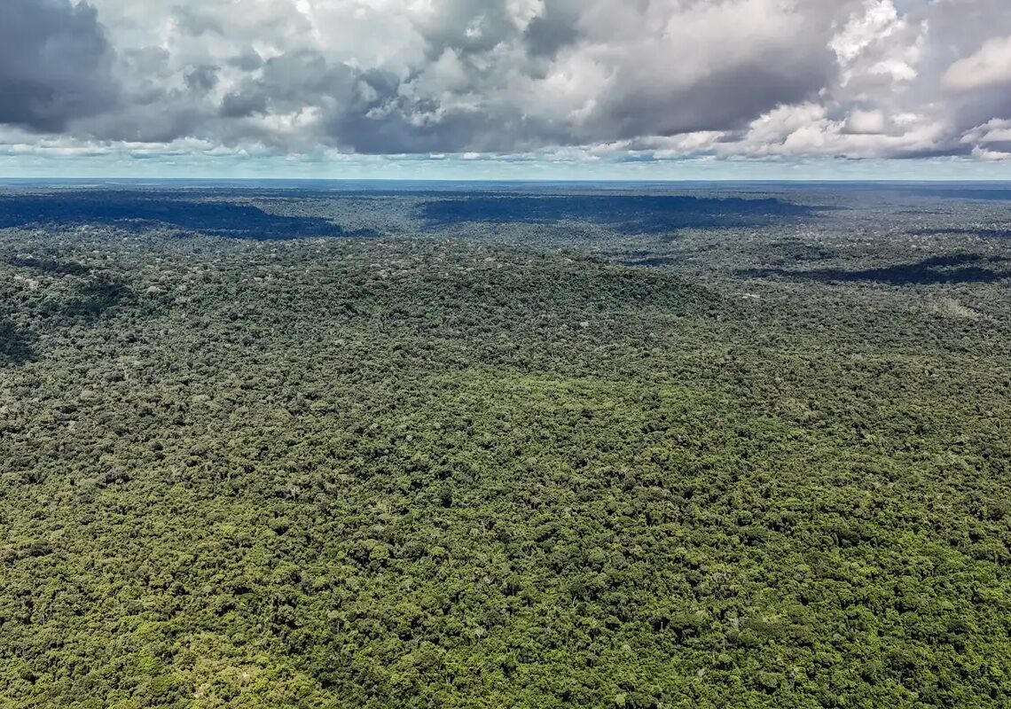 Fazenda autoriza crédito de US$ 1 bilhão do BID para Eco Invest Brasil