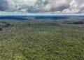 Fazenda autoriza crédito de US$ 1 bilhão do BID para Eco Invest Brasil