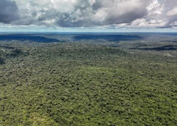 Fazenda autoriza crédito de US$ 1 bilhão do BID para Eco Invest Brasil