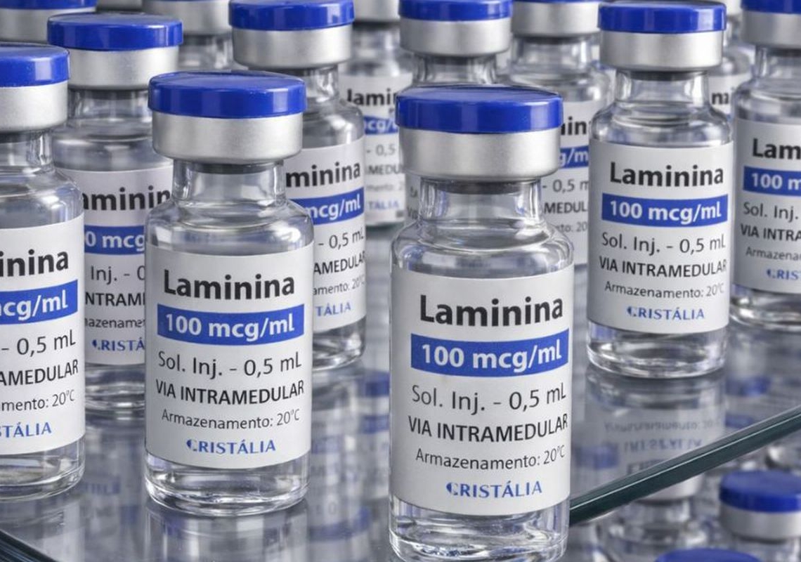 Testes clínicos fase 1 da polilaminina começam este mês