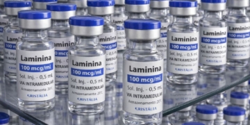 Testes clínicos fase 1 da polilaminina começam este mês