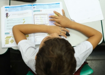 Censo Escolar: resultado preliminar está disponível no site do Inep