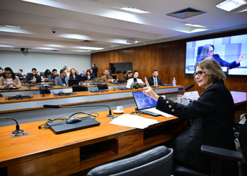 Debate na CDH aponta lacunas na capacitação contra violência a crianças — Senado Notícias