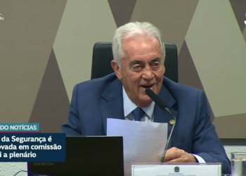 PEC da Segurança Pública passa na CCJ e segue para o Plenário — Senado Notícias
