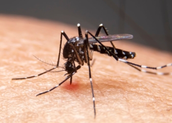Mudanças climáticas já causam aumento de doenças infecciosas no país