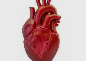A cada 72 segundos, uma pessoa morre por doença cardiovascular no país