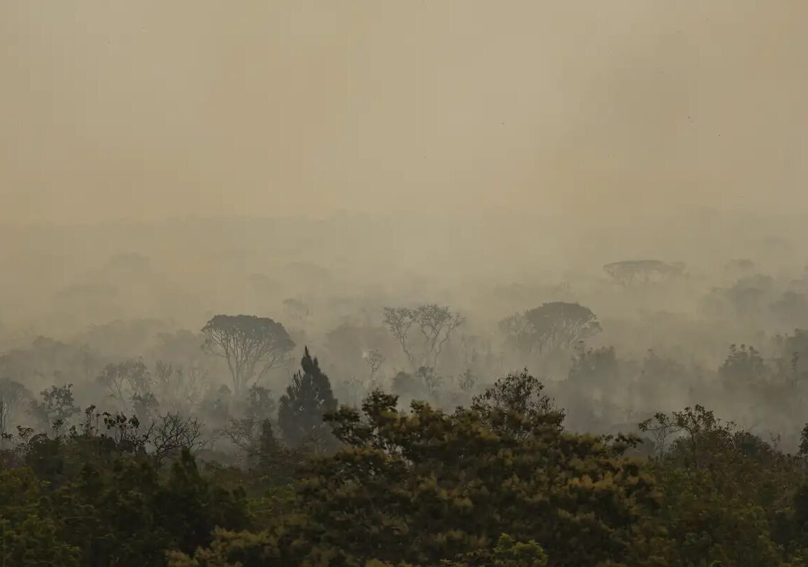 Força Nacional do SUS apoia atendimentos no Amazonas após incêndios