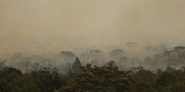 Força Nacional do SUS apoia atendimentos no Amazonas após incêndios