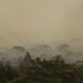 Força Nacional do SUS apoia atendimentos no Amazonas após incêndios