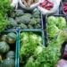 Segurança alimentar exige esforço coletivo e articulação